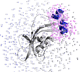 Chromophore Receptors